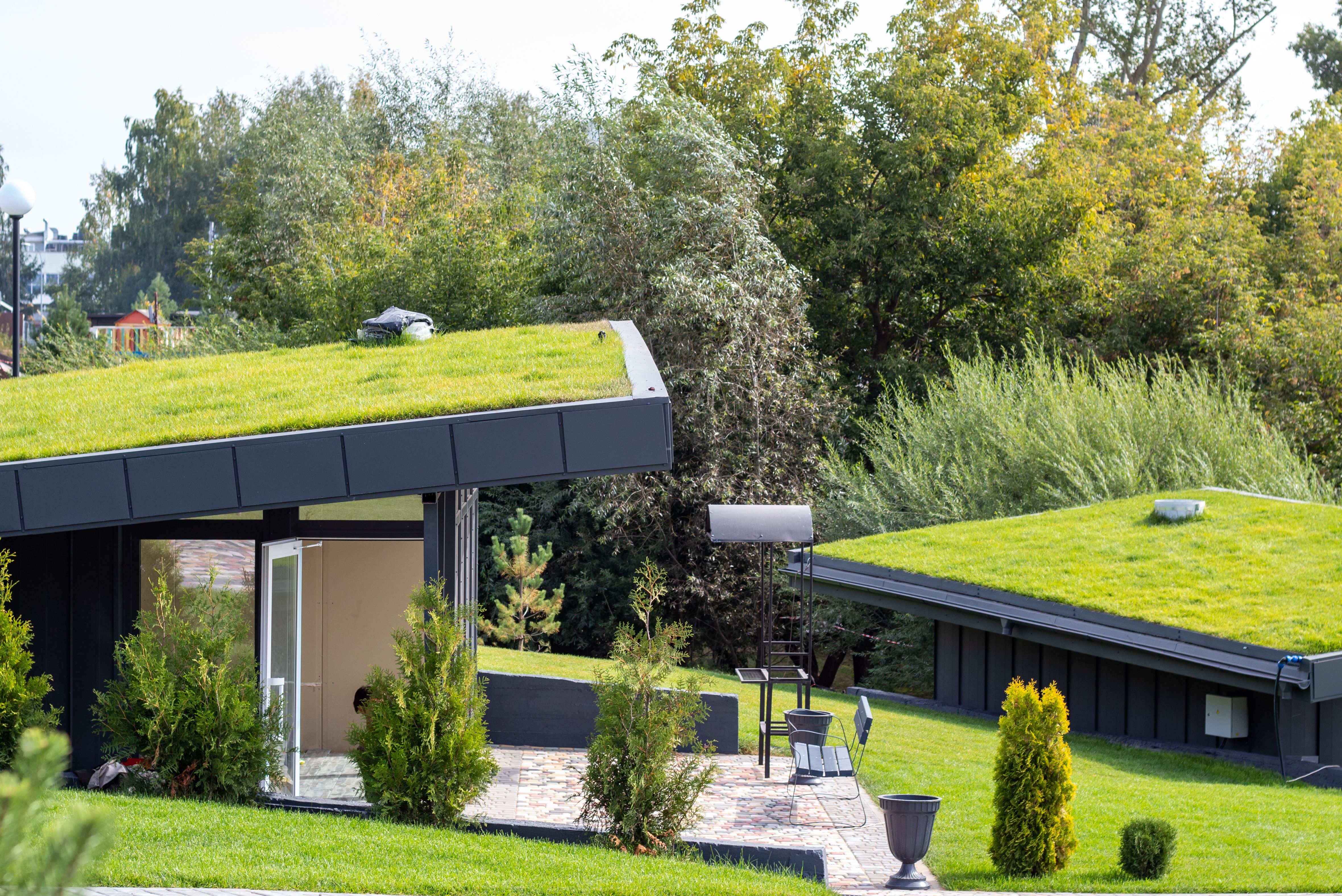 Green Roof System_ SuDS